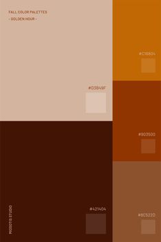 an orange and brown color scheme with the words fall colors palettes below it in white