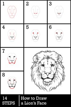 how to draw a lion's face step by step instructions for children and adults