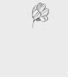 a black and white drawing of a flower