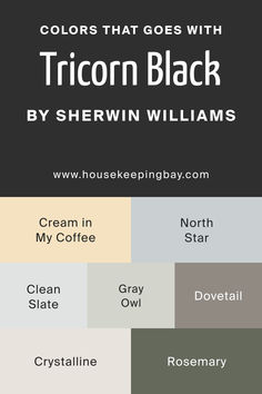 the colors that goes with tricorn black by sherylin williams, from house keeping baby