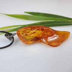 Natural raw Baltic Amber [endant. Natural shape as found. Comes with a black string. Handmade true gemstone necklace. Made by me with passion and love. Not pressed but natural Baltic Amber. Cobochon size: 8 x 2,5 cm. With natural imperfections. As found. This item was made of natural Baltic Amber. All the amber used in my jewelry is collected in my home country Lithuania. I sell only genuine, real, not pressed, authentic, natural Baltic Amber. Item may have natural imperfections. Amber Pendant With Large Stone, Gift Natural Stones Baltic Amber Necklaces, Handmade Baltic Amber Pendant Necklace, Baltic Amber Necklace With Natural Stones For Gift, Gift Necklace With Baltic Amber And Natural Stones, Gift Necklaces With Baltic Amber And Natural Stones, Handmade Amber Necklaces With Resin, Handmade Amber Resin Necklace, Handmade Amber Necklace With Resin