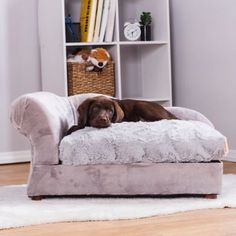 a brown dog laying on top of a couch in a living room next to a book shelf