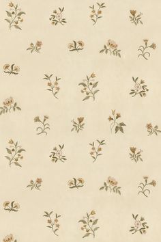 an old wallpaper with flowers and leaves on the back ground, all in beige