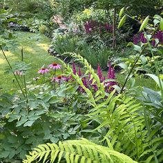 the garden is full of plants and flowers