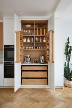 an open cabinet in the middle of a kitchen next to a potted cacti