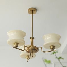 a chandelier hanging from the ceiling with three lights on each side and a potted plant behind it