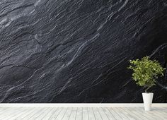 a potted plant sitting on top of a wooden floor next to a black stone wall