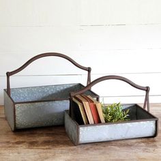 two metal trays with books and plants in them sitting on a wooden table next to a white wall