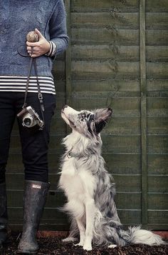 a dog sitting on the ground next to a person holding a bottle and a camera