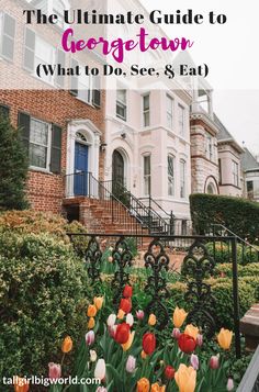 the ultimate guide to georgetown what to do, see and eat with text overlay