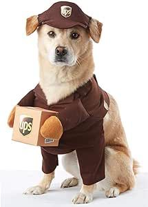 a dog dressed up in a ups uniform and holding a pizza box with it's paw