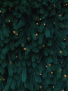 Kalėdos Green Christmas Wallpaper Aesthetic, Green Christmas Wallpaper, Christmas Tree Wallpaper Iphone, Christmas Wallpaper Aesthetic, Tree Wallpaper Iphone, Winter Iphone, Iphone Wallpaper Winter, Christmas Tree Wallpaper, Christmas Tree Background