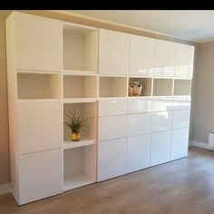 an empty room with white shelving units and a potted plant in the corner