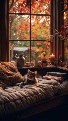 a cat sitting on a couch in front of a window with autumn leaves outside the window