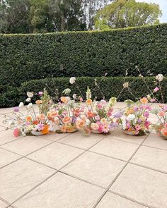 a bunch of flowers that are sitting on the ground in front of some bushes and hedges