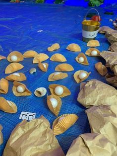 shells and other items on a blue table cloth