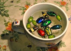 a cup filled with lots of different colored bugs inside of it on top of a table