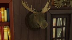 a moose head mounted to the side of a wooden wall next to bookshelves