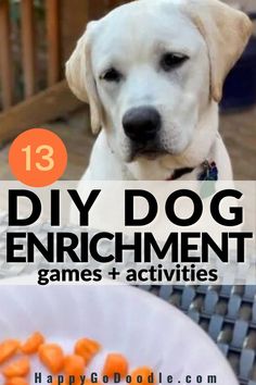 Labrador Retriever dog's happy face and the title DOG DIY Enrichment games & activities Inside Dog Activities, Diy Obstacle Course For Dogs, Dog Feeding Enrichment, Puppy Boredom Busters Diy, Dog Entertainment Ideas Diy, Homemade Brain Games For Dogs, Indoor Dog Games Activities, Dog Stem Activities