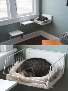 two pictures of a cat sleeping in a bed next to a window and on the floor