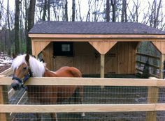 a brown horse standing next to a wooden fence in front of a small building with a chicken coop