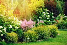 the garden is full of colorful flowers and shrubs