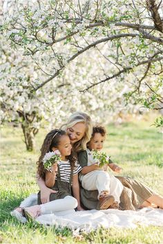 Dougherty motherhood session | Spring apple blossoms Cider Hill Family Orchard | Kelsey Alumbaugh Photography | #appleblossomsession #springmotherhoodphotos #motherhoodphotos #appleblossoms #kcappleblossom Apple Blossom Photo Shoot Family, Apple Blossom Photo Shoot, Apple Orchard Pictures, Orchard Photoshoot, Blossom Photoshoot, Motherhood Session, Motherhood Photos, Family Mini Sessions, Missouri Wedding