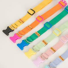 five different colored straps are lined up on a white surface, one is empty and the other has no strap