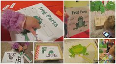 there are many pictures of frog parts in the picture, including paper plates and scissors