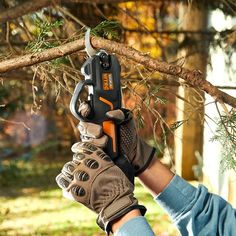 a person holding a chainsaw up to a tree branch with one hand on it