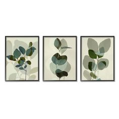 three framed art pieces with leaves on the top and bottom, one is green in color