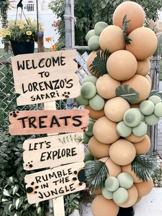 there is a sign that says welcome to lorenzo's safari treats and let's explore rumble in the jungle