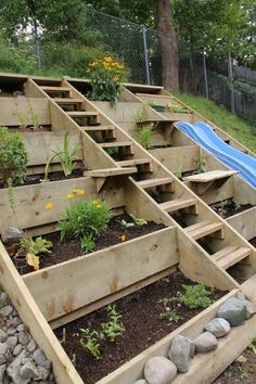 an outdoor garden with wooden steps and plants