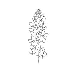 a line drawing of a flower on a white background