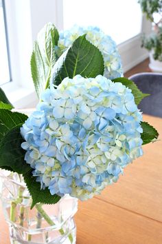 a glass vase filled with blue and white flowers on top of a wooden table next to a window