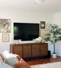 a flat screen tv sitting on top of a wooden entertainment center next to a potted plant