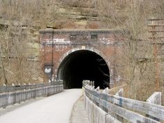 a wooden bridge with a tunnel going into it