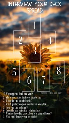 a sunflower with the words interview your deck spread in front of it and an image of