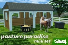 two horses are standing in the grass near a small shed with a fire pit and trash can