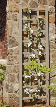 a wooden trellis with white flowers on it in front of a brick wall and stone building