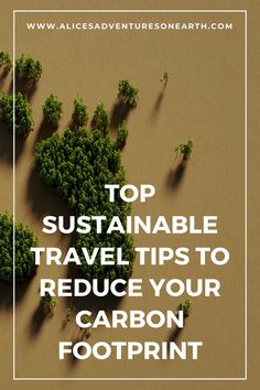 the words top sustainable travel tips to reduce your carbon footprints on an image of trees