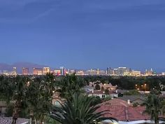 the city skyline is lit up at night, with palm trees and buildings in the foreground