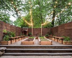 an outdoor garden with lots of plants and lights strung from the trees over it, surrounded by brick walls