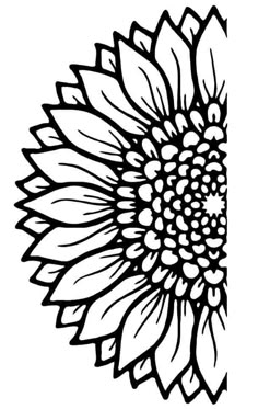 a black and white drawing of a sunflower