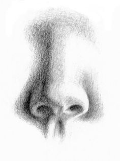 a black and white drawing of a nose