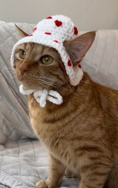 an orange cat wearing a white knitted hat and bow tie sitting on a couch