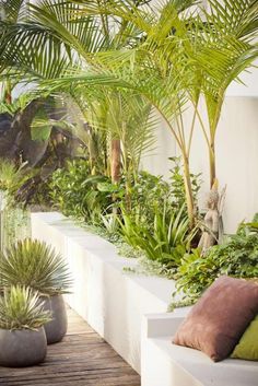 an outdoor area with plants and pillows on the bench, along with other plant life