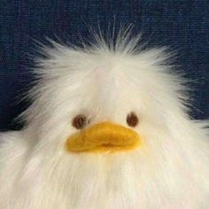 a white stuffed chicken with brown eyes and fluffy fur on it's head, sitting in front of a blue background