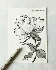 Line art Drawing Ideas Simple, Fineliner Drawing, Ink Flowers, Fineliner Art, Art & Craft Paint, Amazing Artwork, Craft Paint, Art Painting Gallery