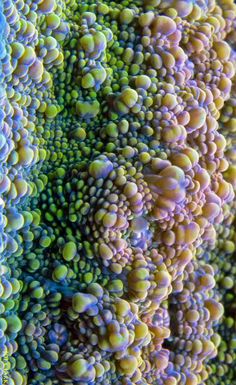 an abstract pattern made up of many different colors and shapes, including bubbles on the surface